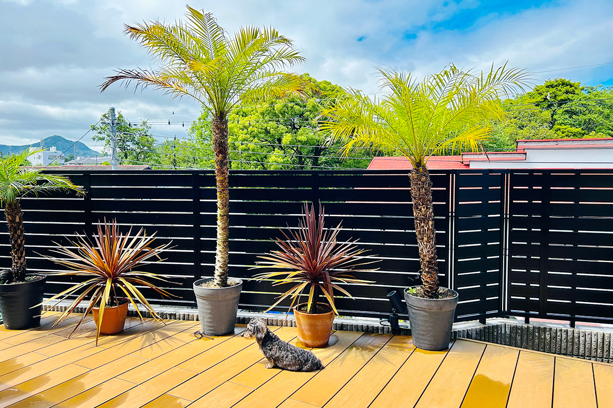 テラス・デッキ